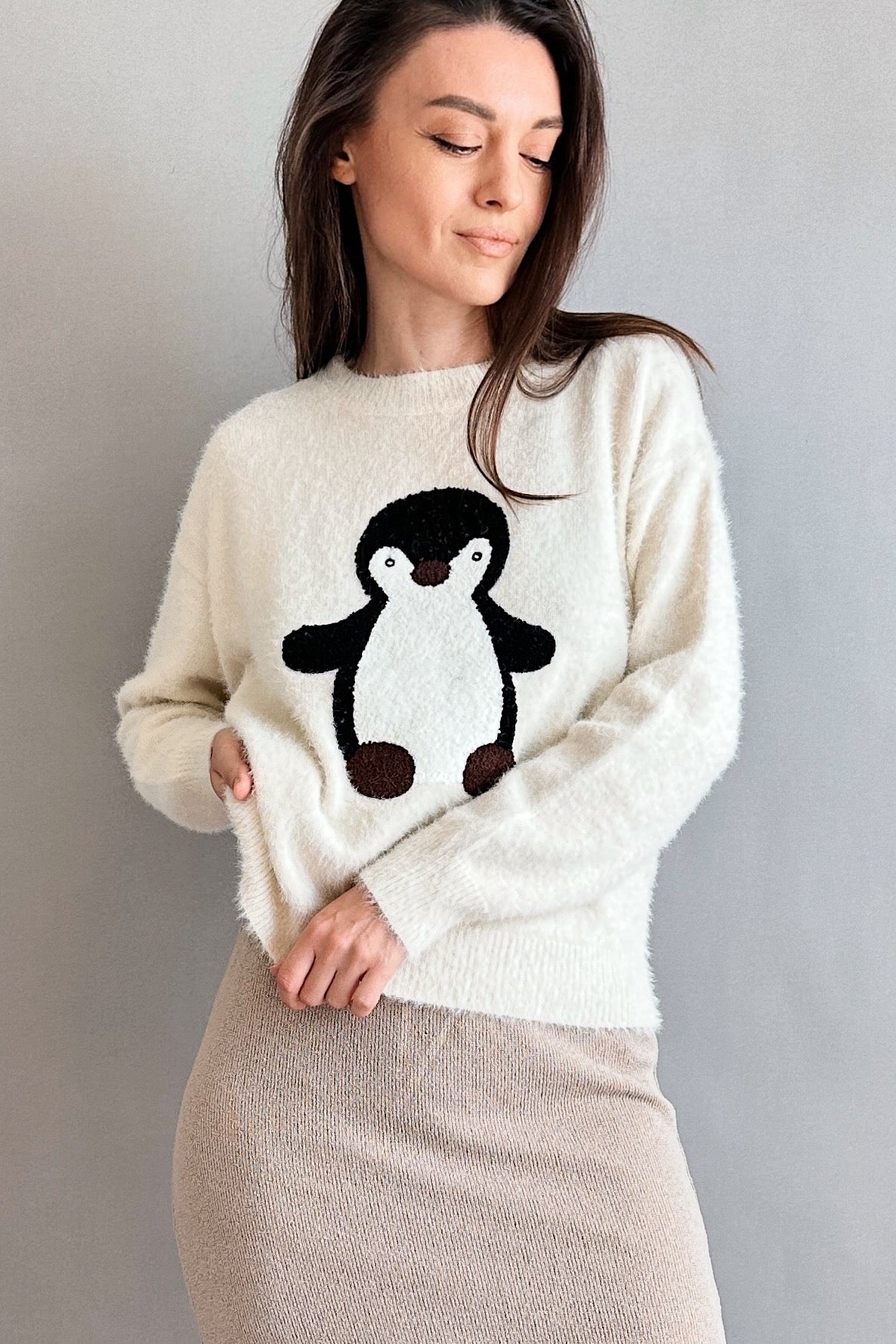 Penguin Embroidered Fluffy Sweater - alldeserved.com