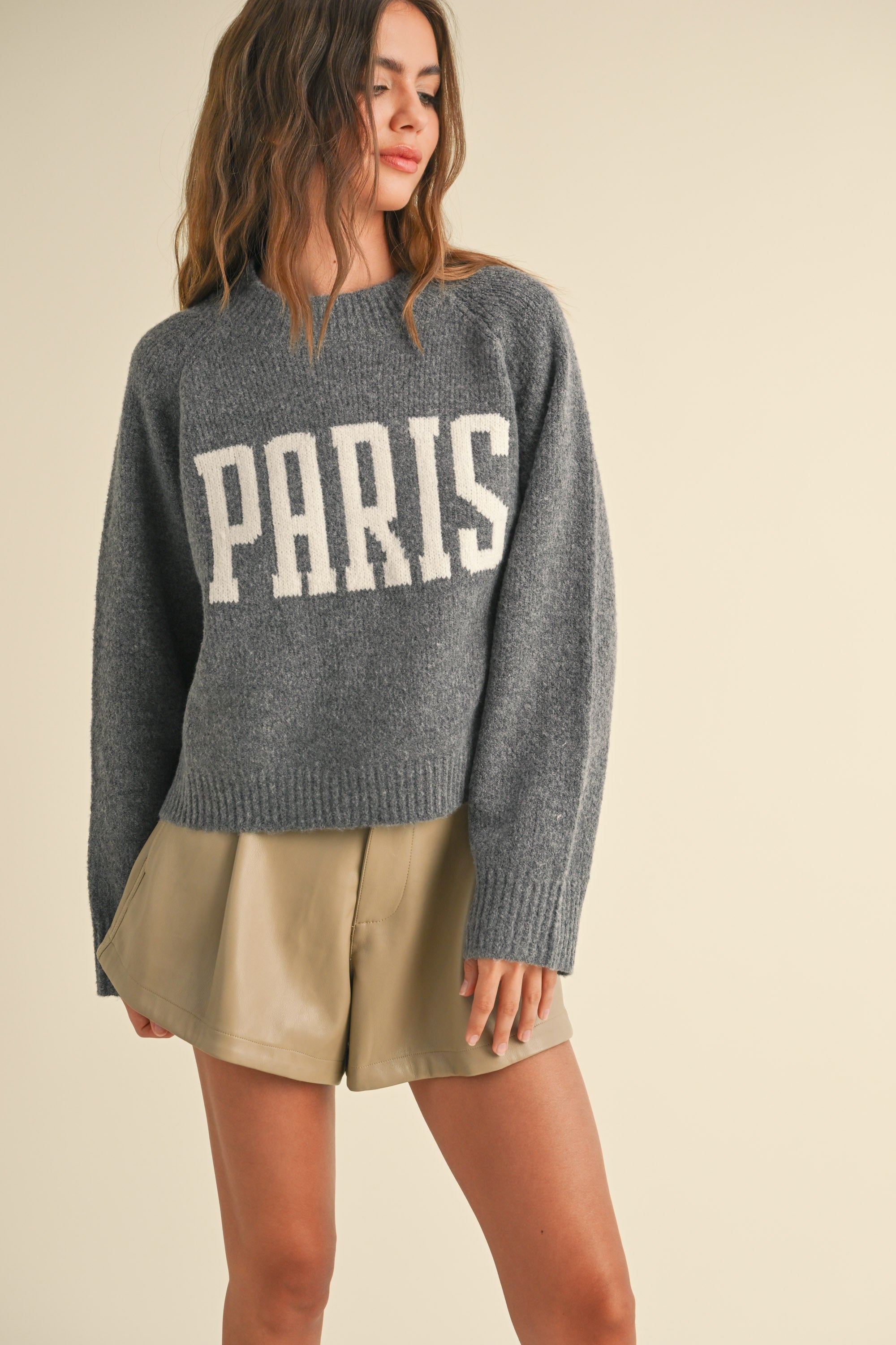 Paris Print Casual Sweater - alldeserved.com