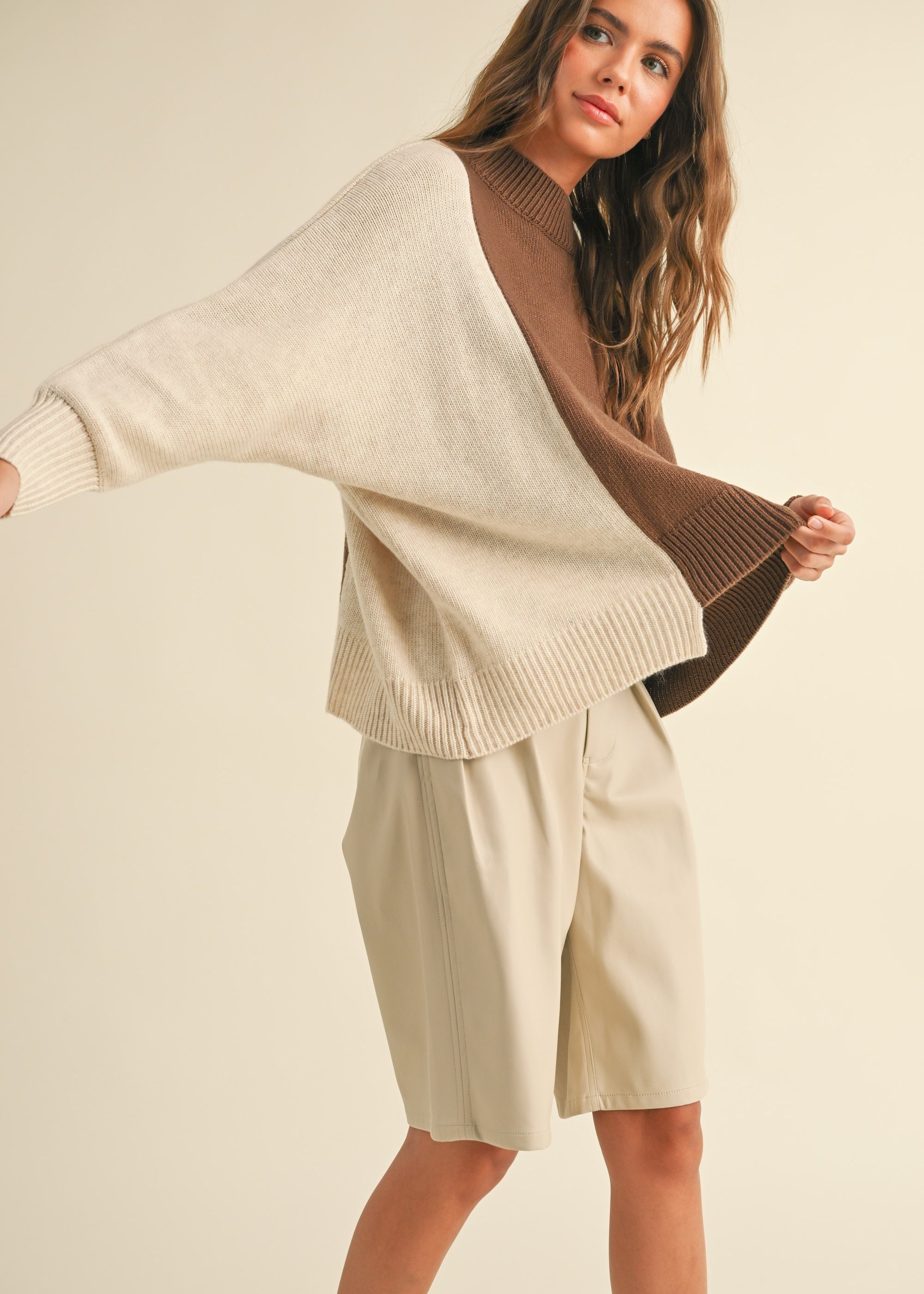 Dayton Colorblock Pullover Sweater - alldeserved.com