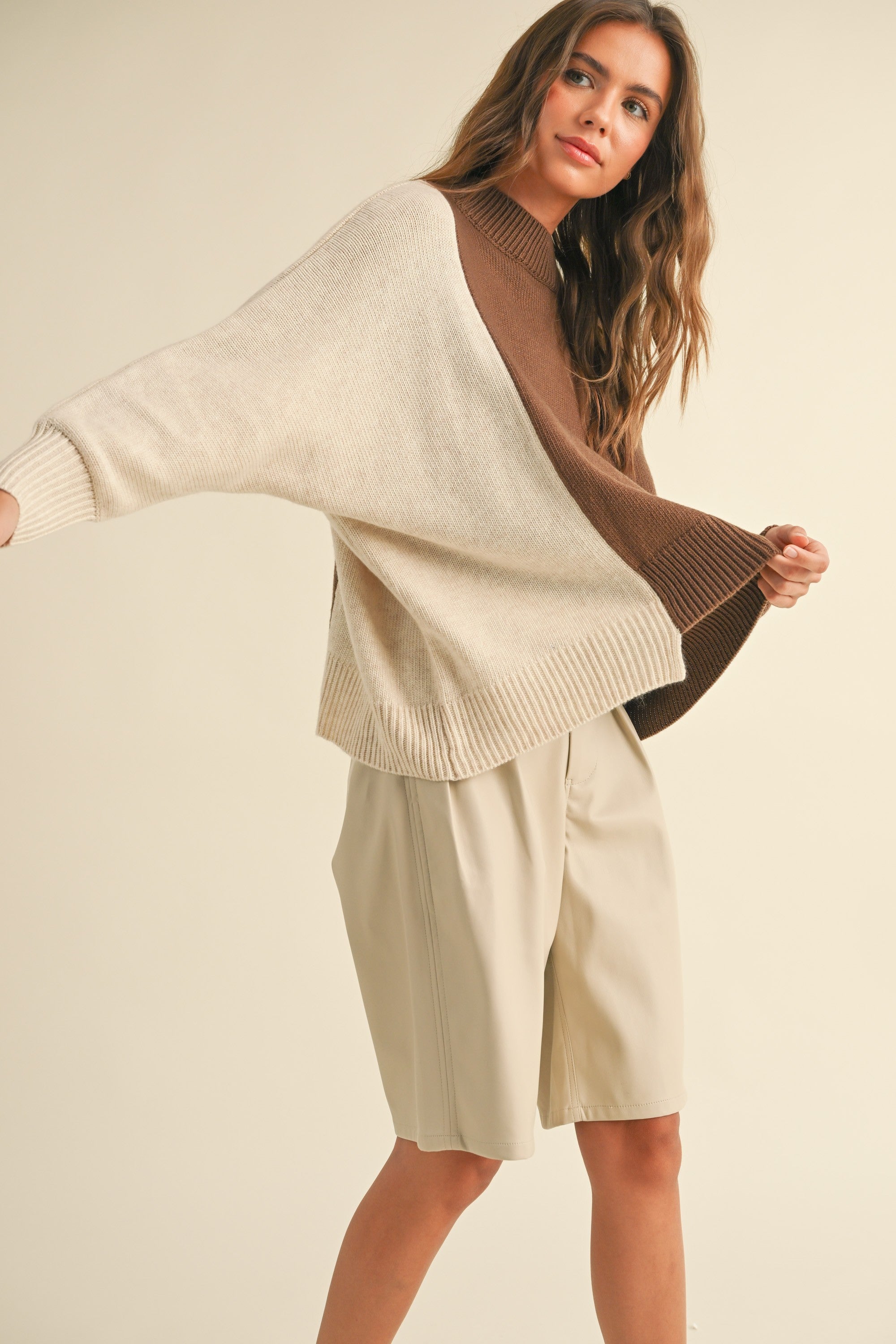 Dayton Colorblock Pullover Sweater - alldeserved.com