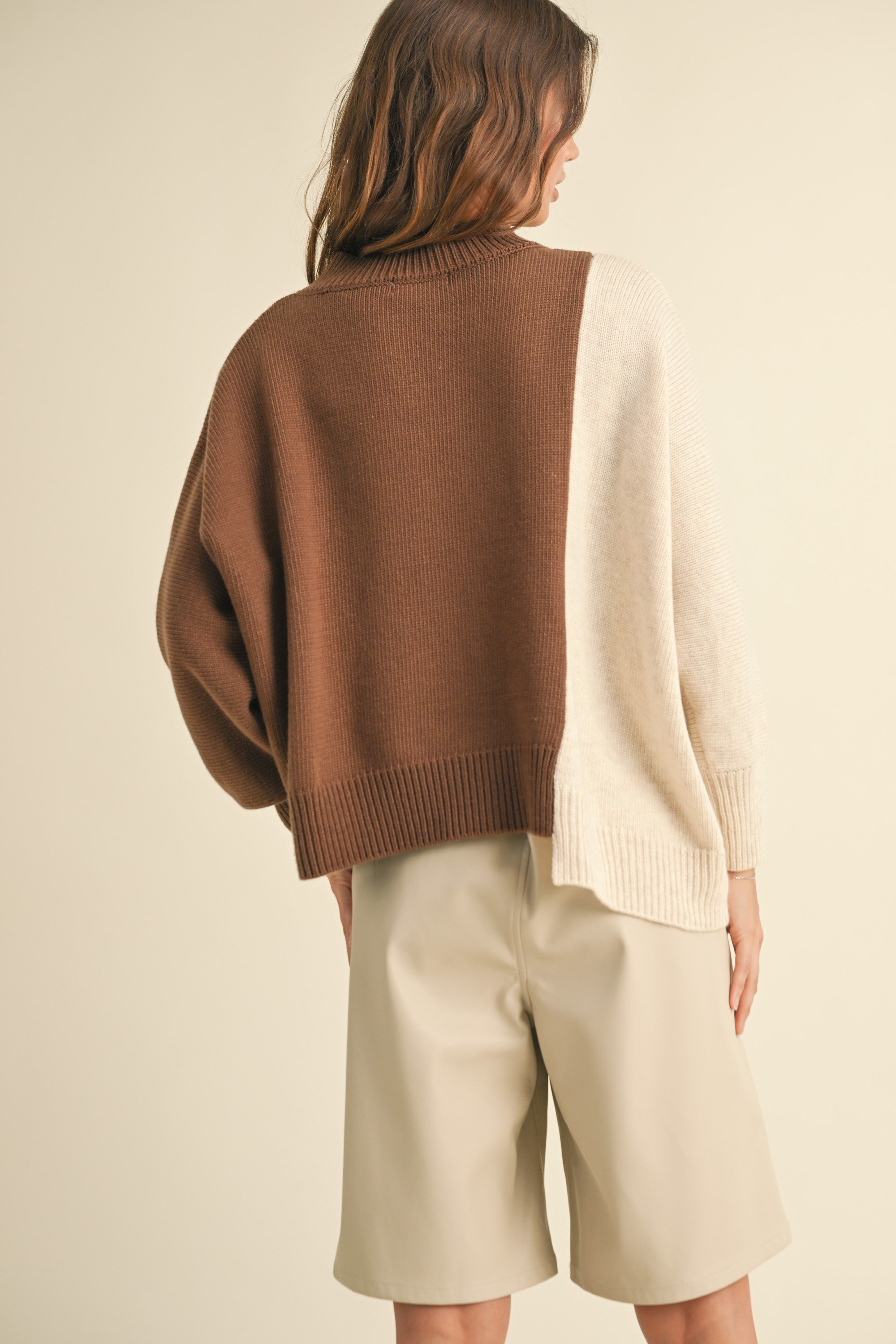 Dayton Colorblock Pullover Sweater - alldeserved.com