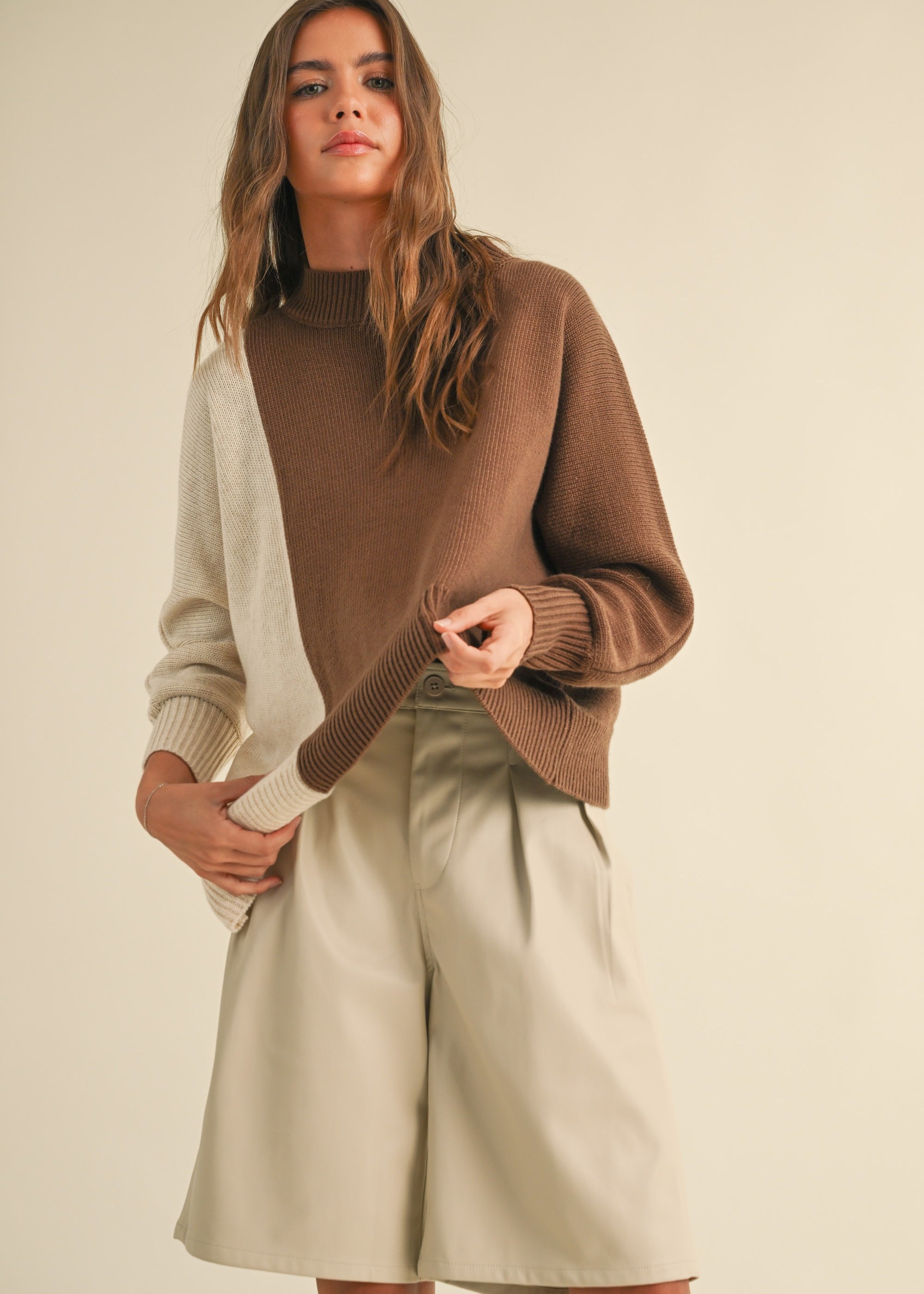 Dayton Colorblock Pullover Sweater - alldeserved.com