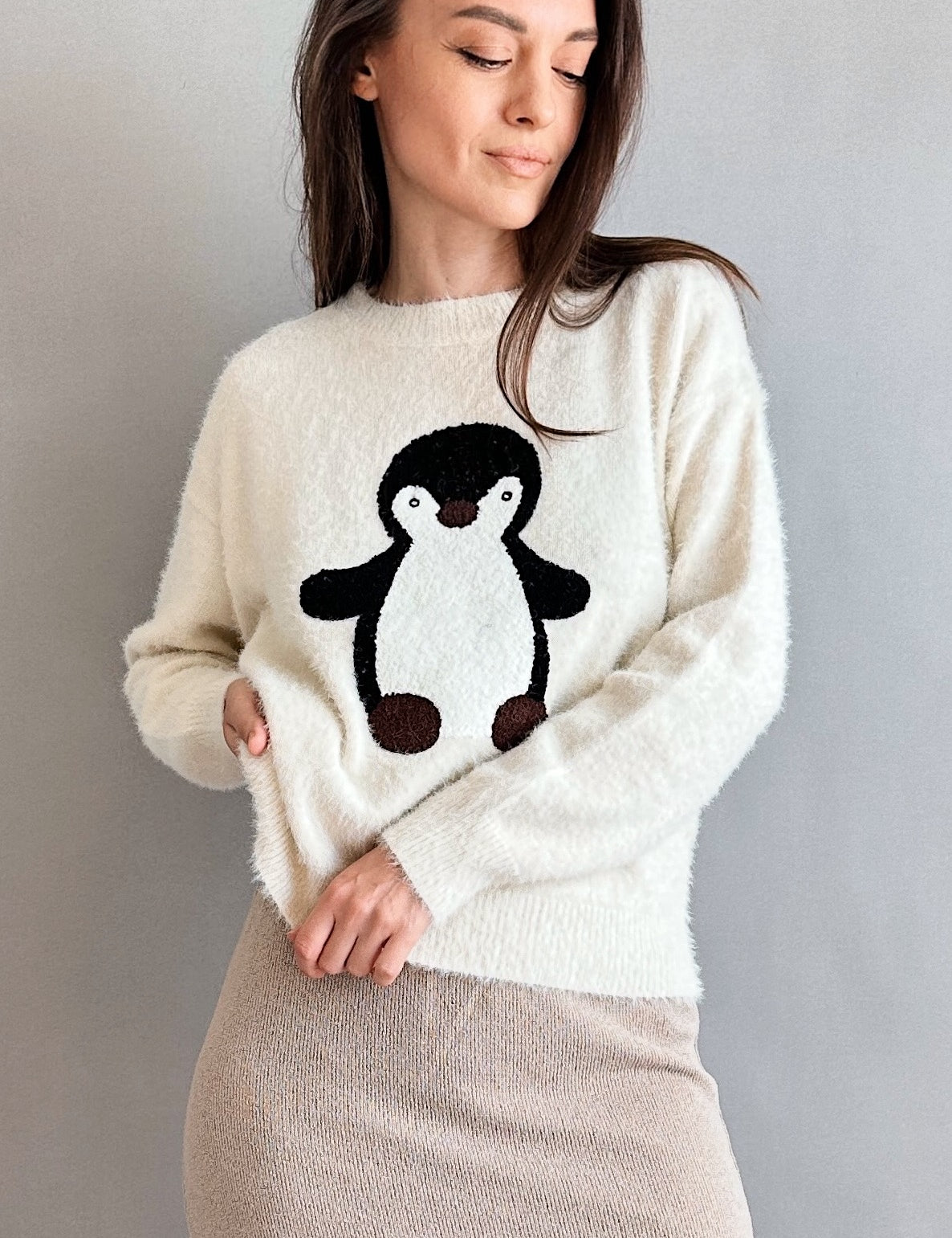 Penguin Embroidered Fluffy Sweater - alldeserved.com