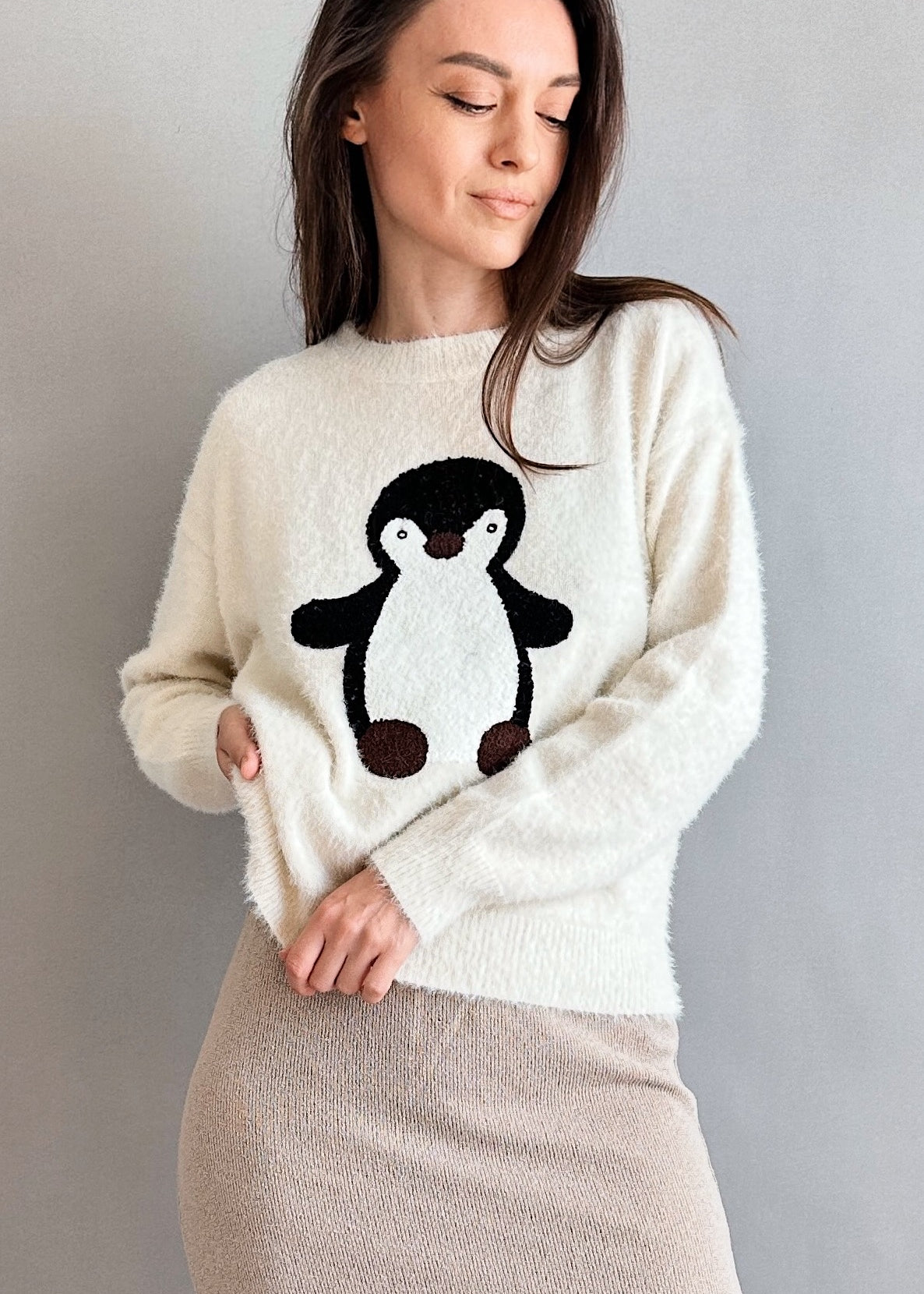 Penguin Embroidered Fluffy Sweater - alldeserved.com