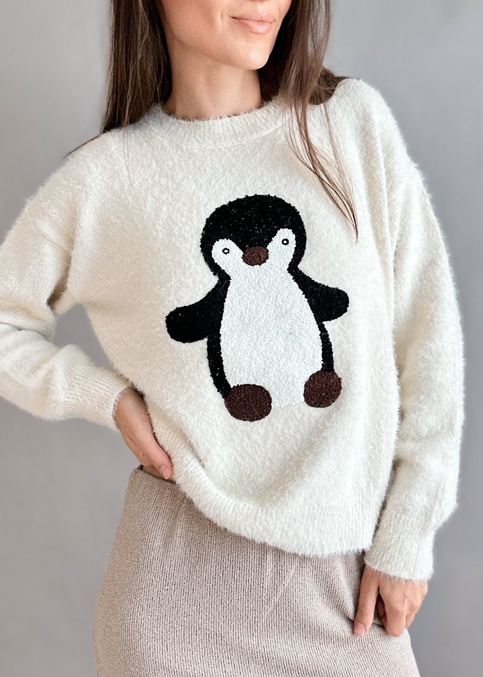 Penguin Embroidered Fluffy Sweater - alldeserved.com
