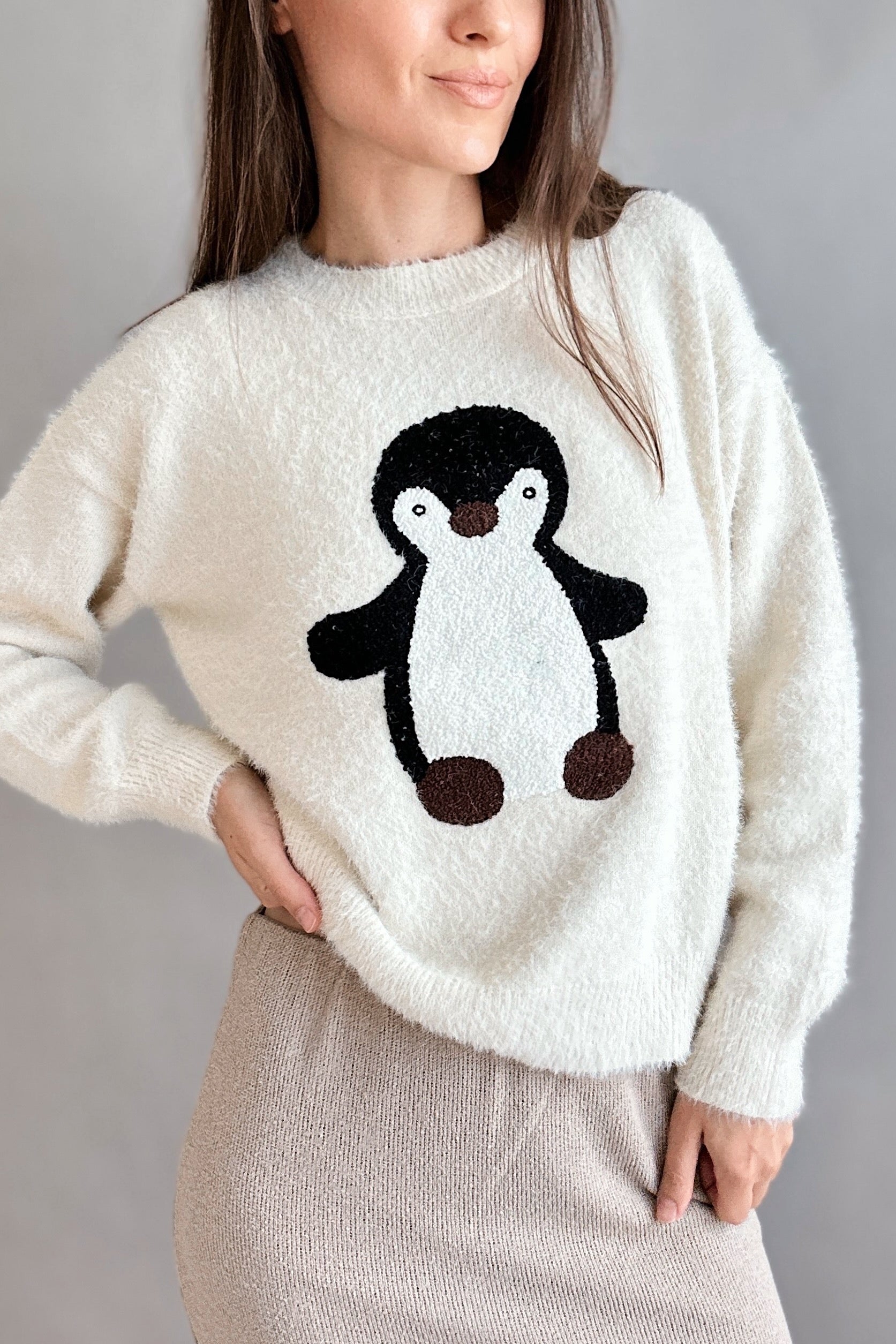 Penguin Embroidered Fluffy Sweater - alldeserved.com