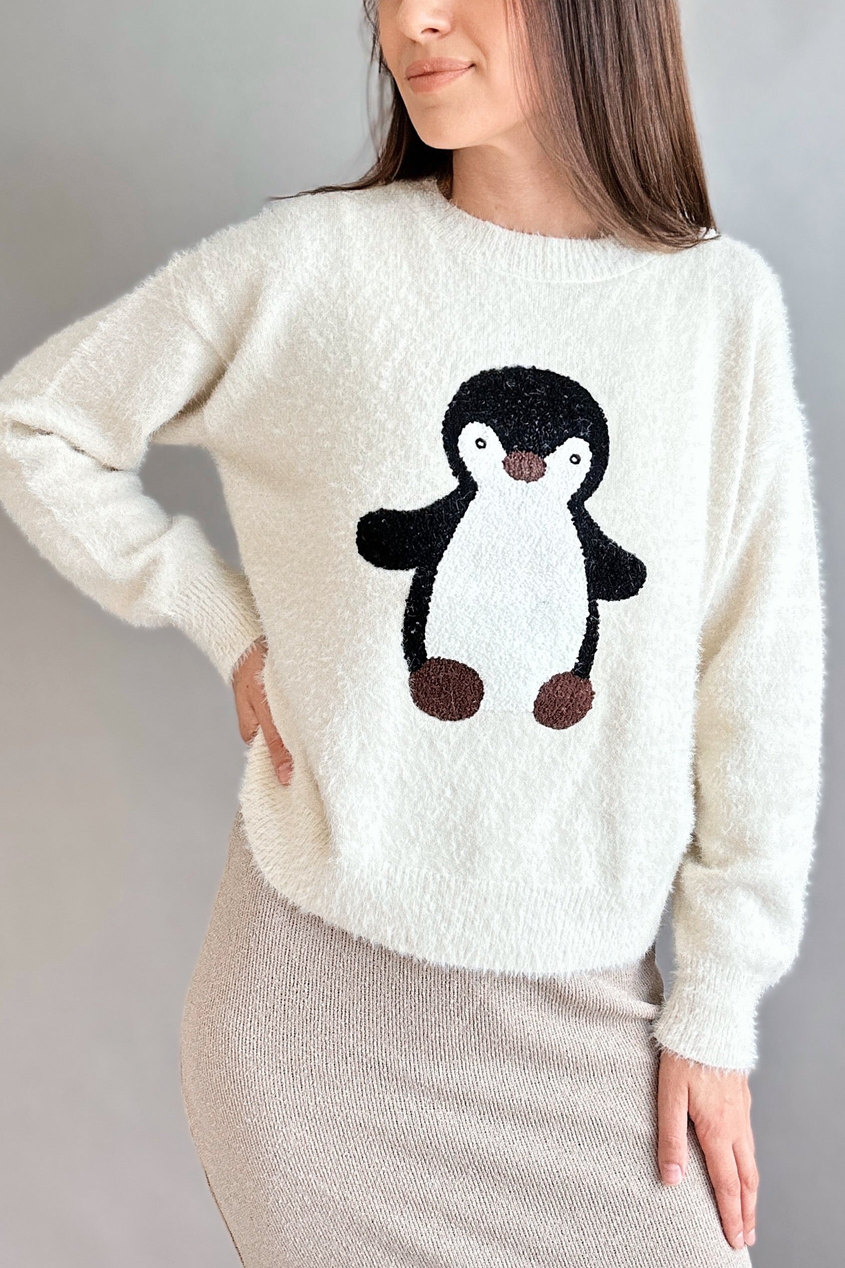 Penguin Embroidered Fluffy Sweater - alldeserved.com