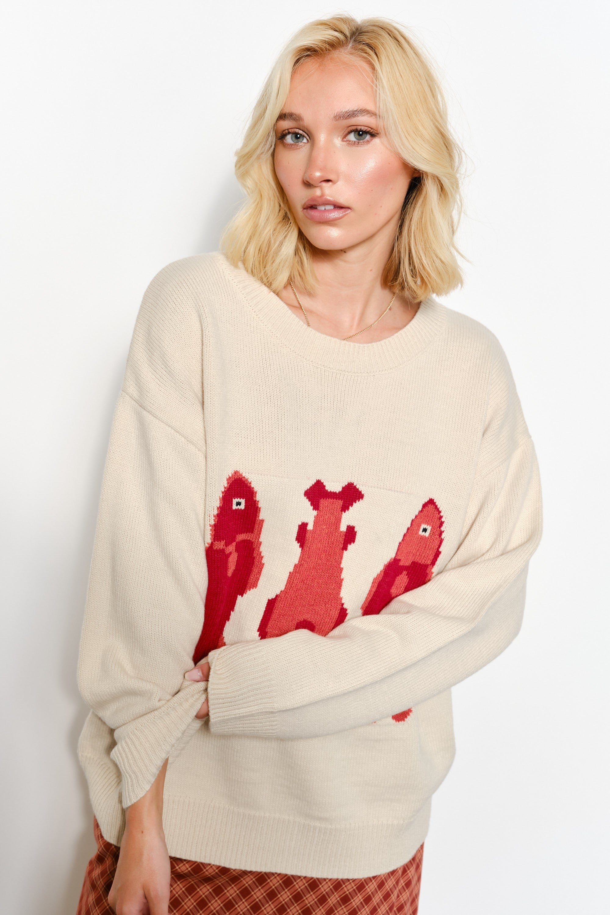 Model is posing - wearing fish embroidering sweater - beige color